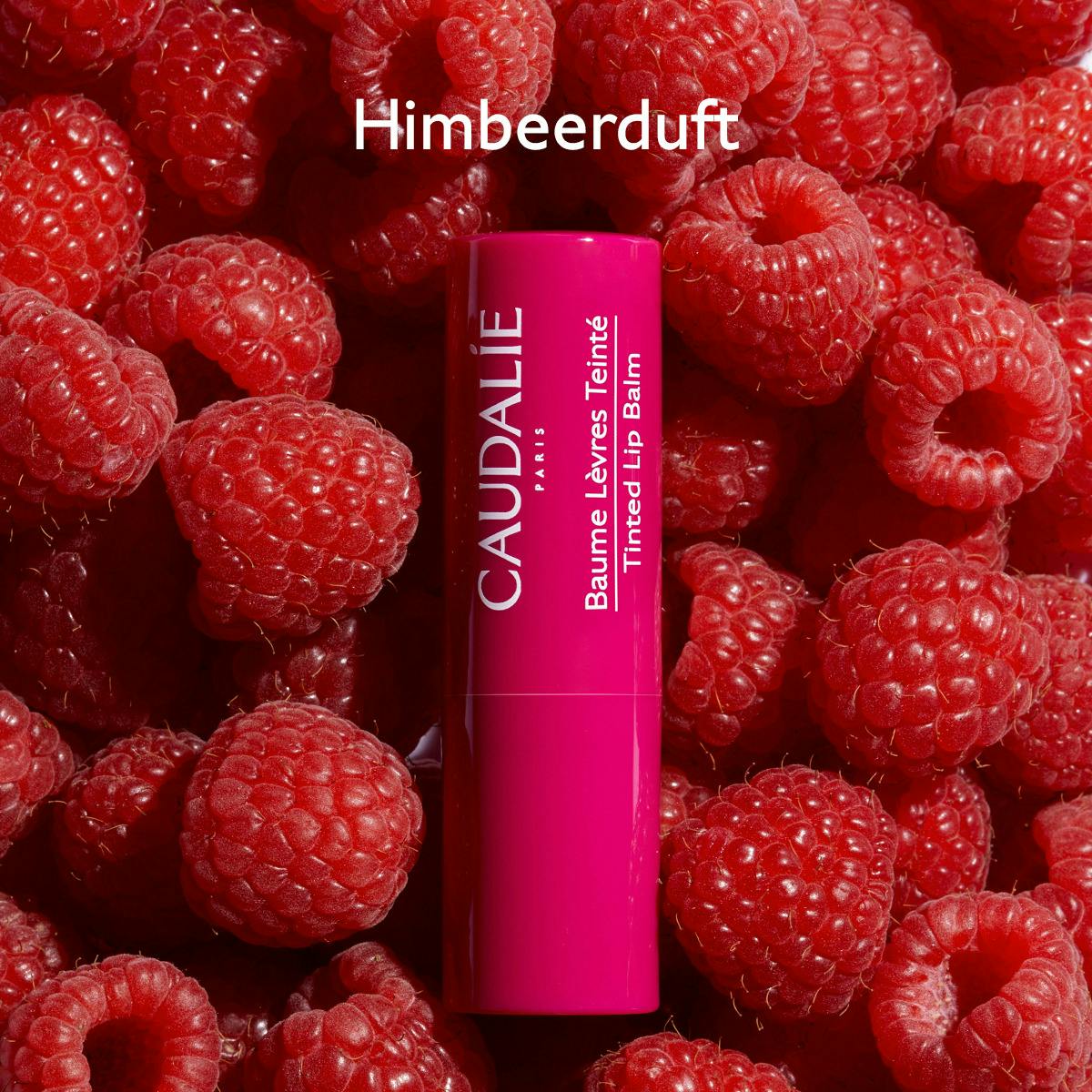 Caudalie - Getönter Lippenbalsam, 4,5g
