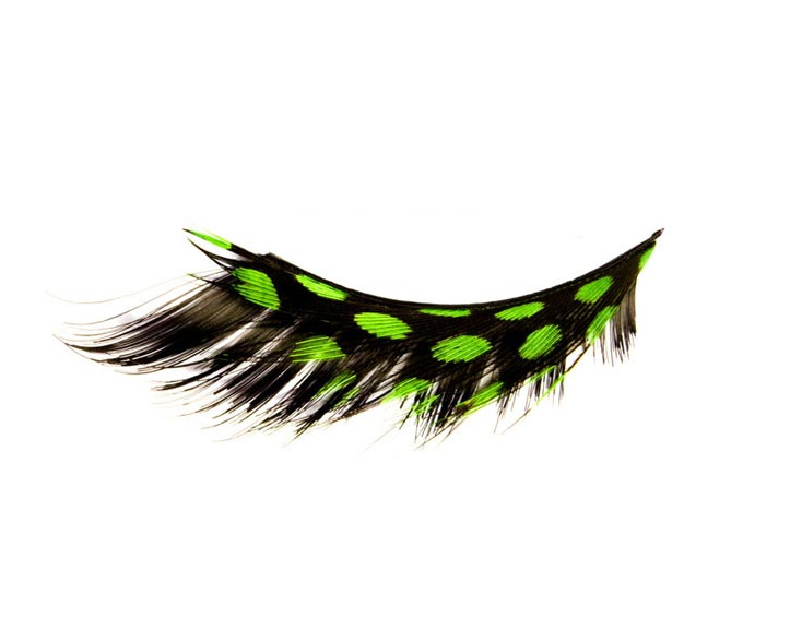 gd-enf165bb614234c8c1 GD-ENF16