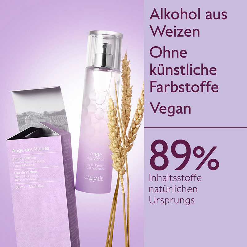 c-c420-03-jpg c-c420-03