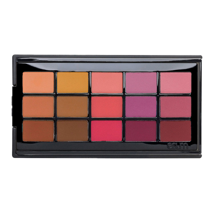 ESUM Cosmetics - The Artistry Pigment Palette N°3 HARMONY