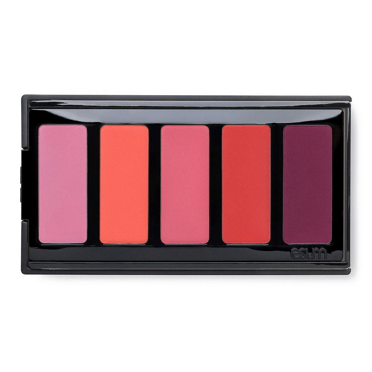 ESUM Cosmetics - The Artistry Blush Palette N°9 ACCENTUATE