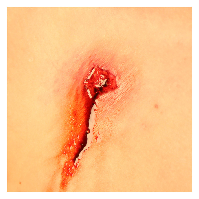 P.T.M -  Silicone Mold - Bullet Hole Entry 003 .38 Caliber P.T.M -  Silicone Mold - Bullet Hole Entry 003 .38 Caliber