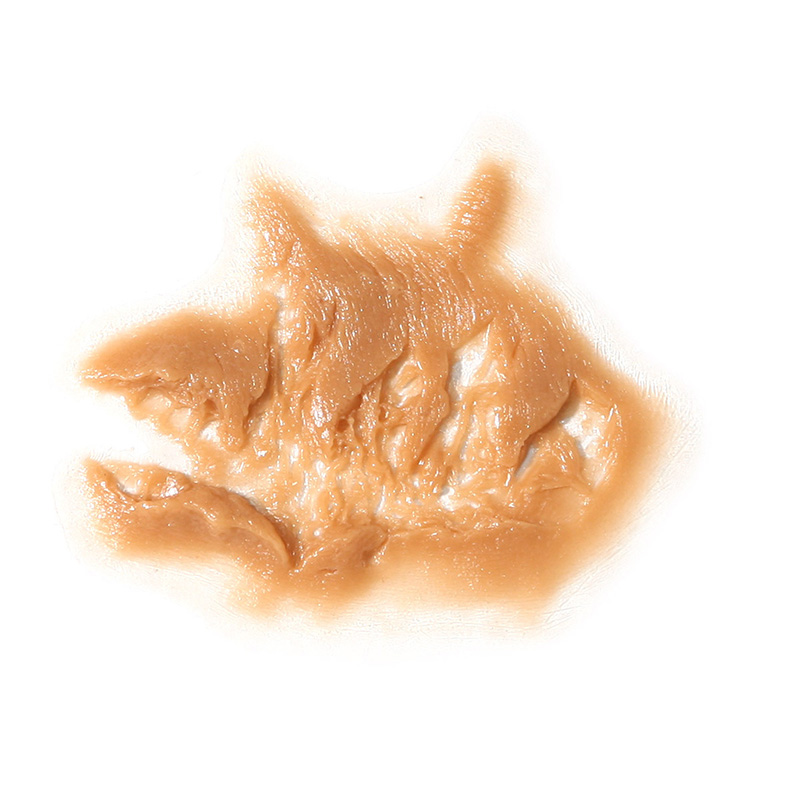 P.T.M -  Silicone Mold - Zombie Left Cheek P.T.M -  Silicone Mold - Zombie Left Cheek