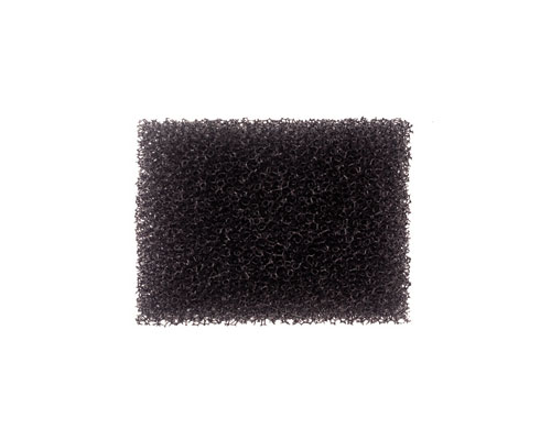 Schwamm Bart mittelporig