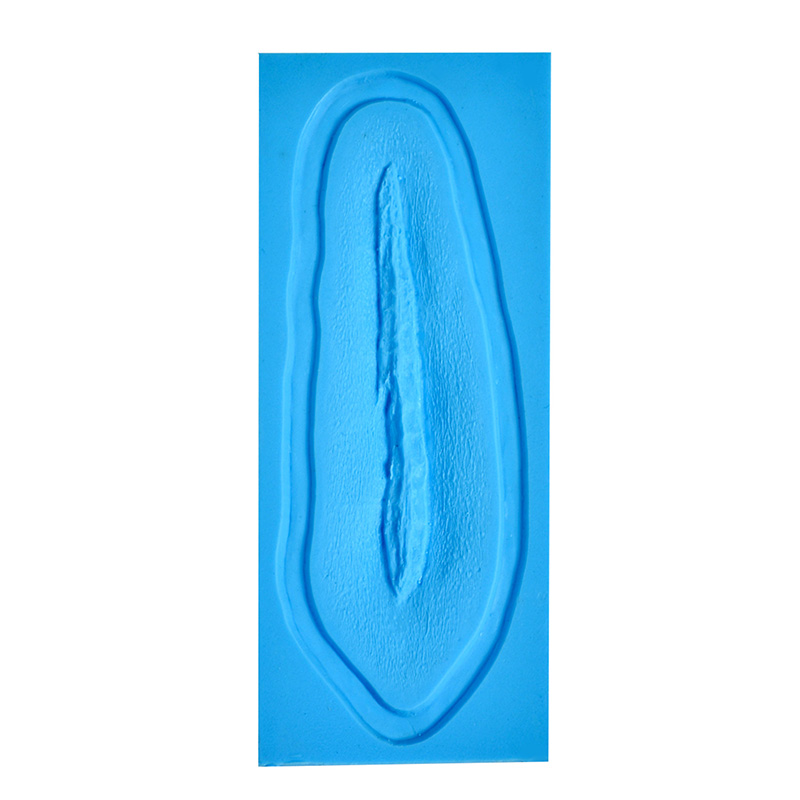 P.T.M -  Silicone Mold - Laceration 6" P.T.M -  Silicone Mold - Laceration 6"