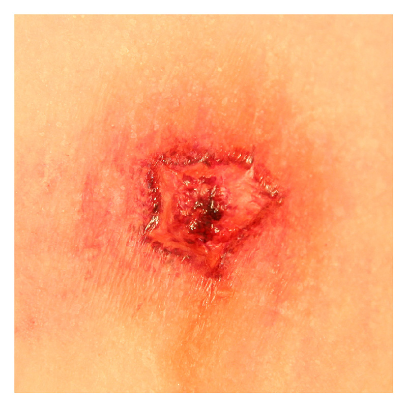 P.T.M -  Silicone Mold - Bullet Hole Entry 003 .38 Caliber P.T.M -  Silicone Mold - Bullet Hole Entry 003 .38 Caliber