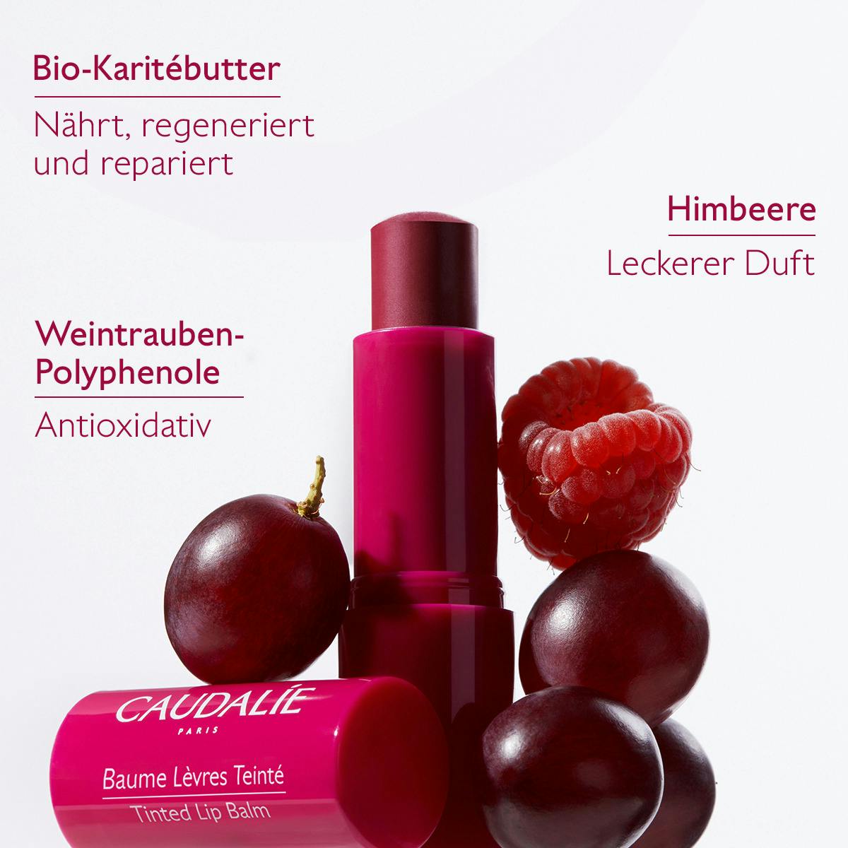 Caudalie - Getönter Lippenbalsam, 4,5g