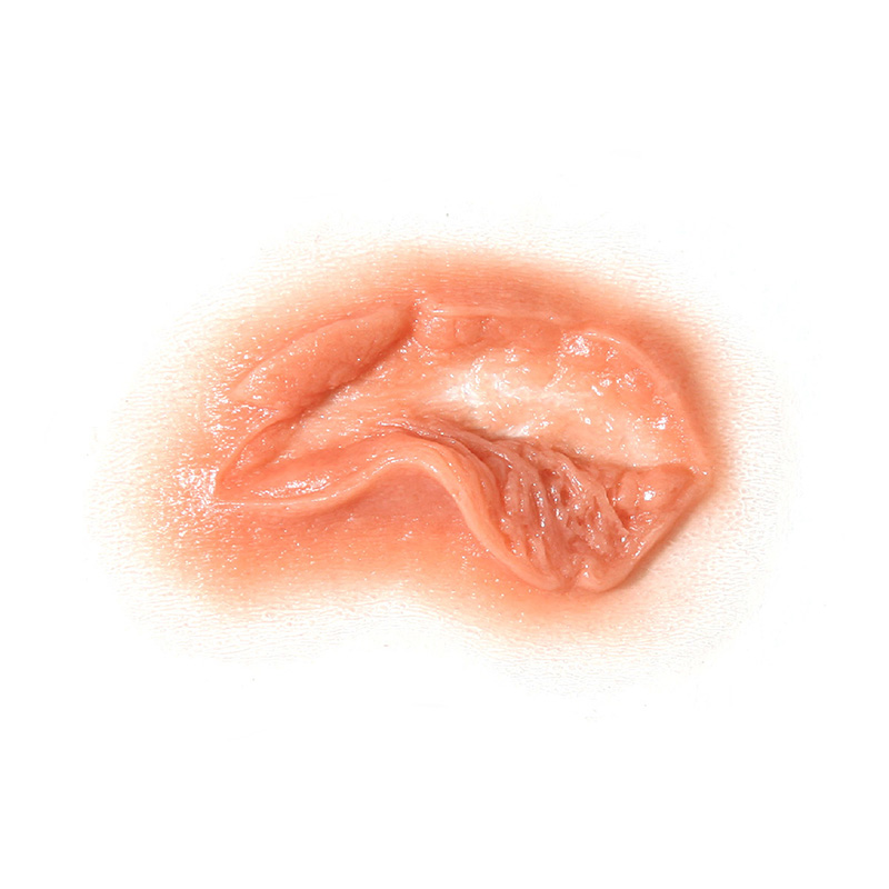 P.T.M -  Silicone Mold - Avulsion LARGE P.T.M -  Silicone Mold - Avulsion LARGE