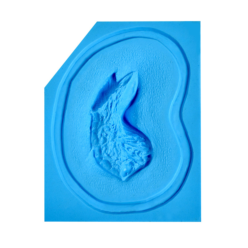 P.T.M -  Silicone Mold - Avulsion LARGE P.T.M -  Silicone Mold - Avulsion LARGE