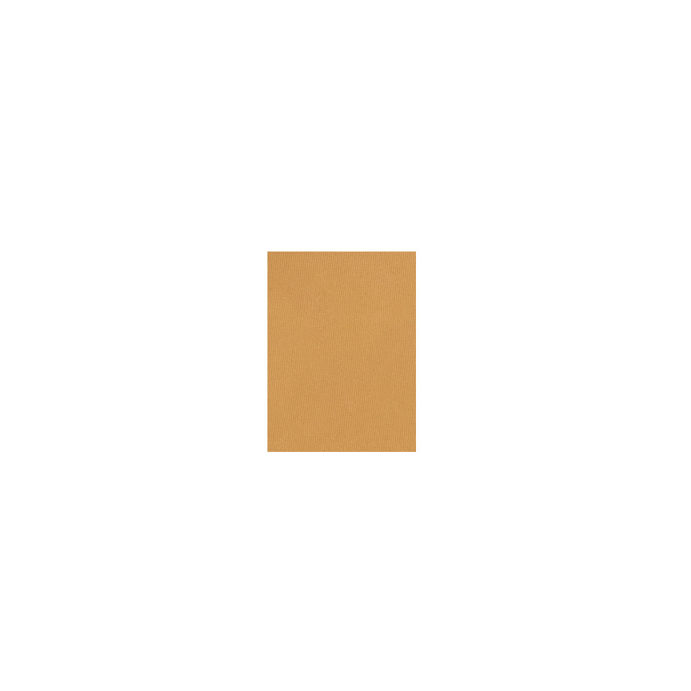 Ben Nye - RCM - Studio Palette Poudre, TALT Free - REFILL, 3g
