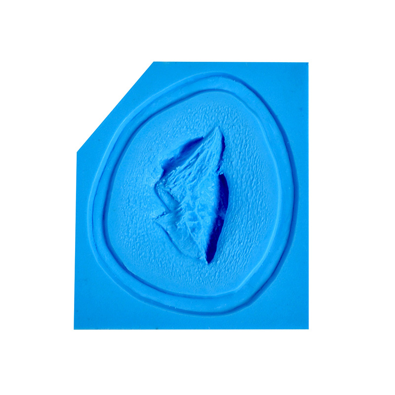 P.T.M -  Silicone Mold - Avulsion MEDIUM P.T.M -  Silicone Mold - Avulsion MEDIUM