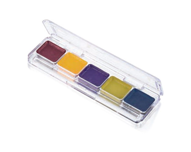 Ben Nye - AAP03 Bruise FX Alkohol Palette 5 Farben